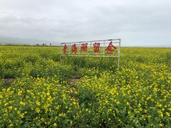 -青海湖国家重点风景名胜区