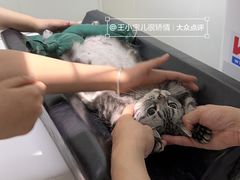 -美联众合动物医院·24h转诊中心
