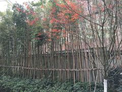 -绳金塔