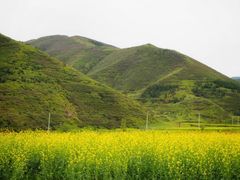 -苏木山森林公园