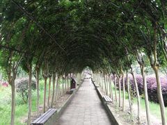 -武汉紫薇都市田园