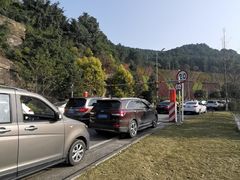 -铁山坪森林公园