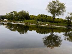 -石湖景区