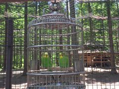 -黄海国家森林公园