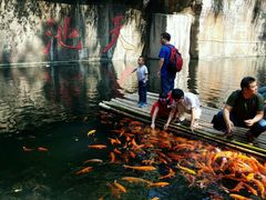 -千岛湖东南湖区