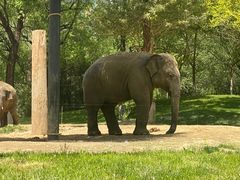 -北京野生动物园