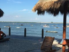 -北海金海湾红树林生态旅游区