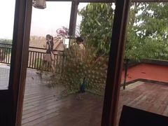 -西双版纳融创皇冠假日度假酒店