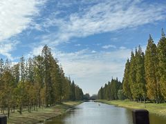 -黄海国家森林公园