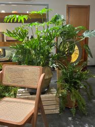 -芳香乐府疗愈空间·SPA·冥想