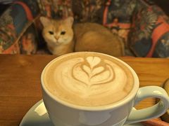 -咖法森林·咖啡  酒吧(天河店)