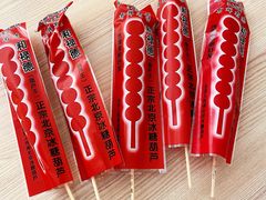 -和禄德冰糖葫芦