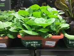 -超市发超市(学院路店)