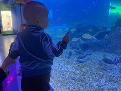 -沙沙哗啦海洋馆(华宇百花谷店)