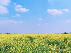 -嘉北郊野公园