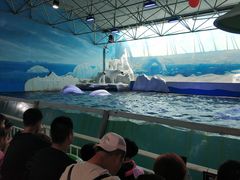 -秦皇岛乐岛海洋王国