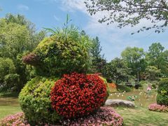 -武汉园博园(武汉自然博物馆)