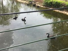 -长白岛森林公园