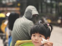 -乌村
