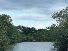 -大湾区中央湿地公园