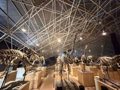 -世界恐龙谷景区