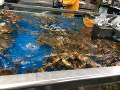 -盒马鲜生(大成店)