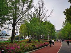 -北外滩滨江绿地