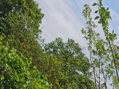 -黄公望隐居地