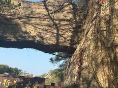 -莆田湄洲妈祖祖庙