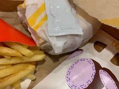 -麦当劳(从化从城大道店)