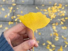 -两江幸福广场