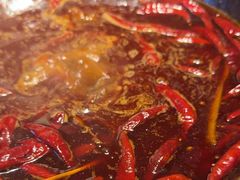 -蜀大侠火锅(总府路店)