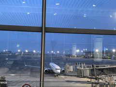 -青岛胶东国际机场