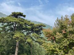 -香山公园