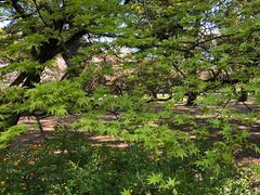 -京都御所
