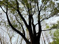 -白塘生态植物园
