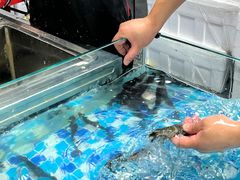 -养牛邓·潮汕牛肉海鲜自助火锅(广州店)