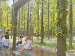 -黄海国家森林公园