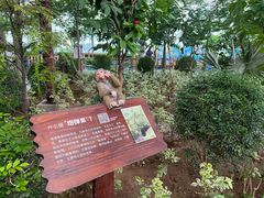 -南宫五洲植物乐园