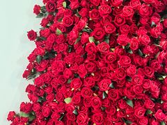 -22ºN BISTRO西餐&酒馆