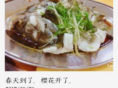 -蚝专家(北滘店)