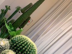 -悦海·家宴·冰花皮皮虾大锅贴(宝龙店)