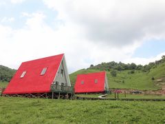 -关山草原