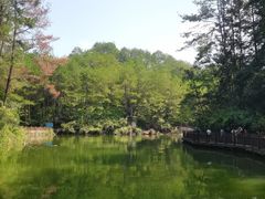-冠豸山景区
