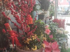 -FEI FEI FLOWER鲜花店·气球派对·宝宝宴布置(虹口德必运动Loft店)