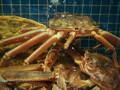 -庆赫隆融合菜馆(群力店)