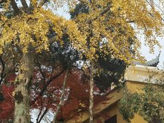 -灵岩山风景区