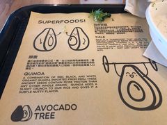 -油梨树 AVOCADO TREE(亮马桥店)