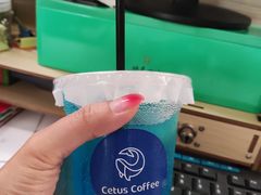 -Cetus coffee鲸鱼座咖啡·拼豆(二仙桥公园店)