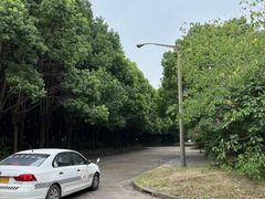 -胜华驾校·小猫学车(银都店)